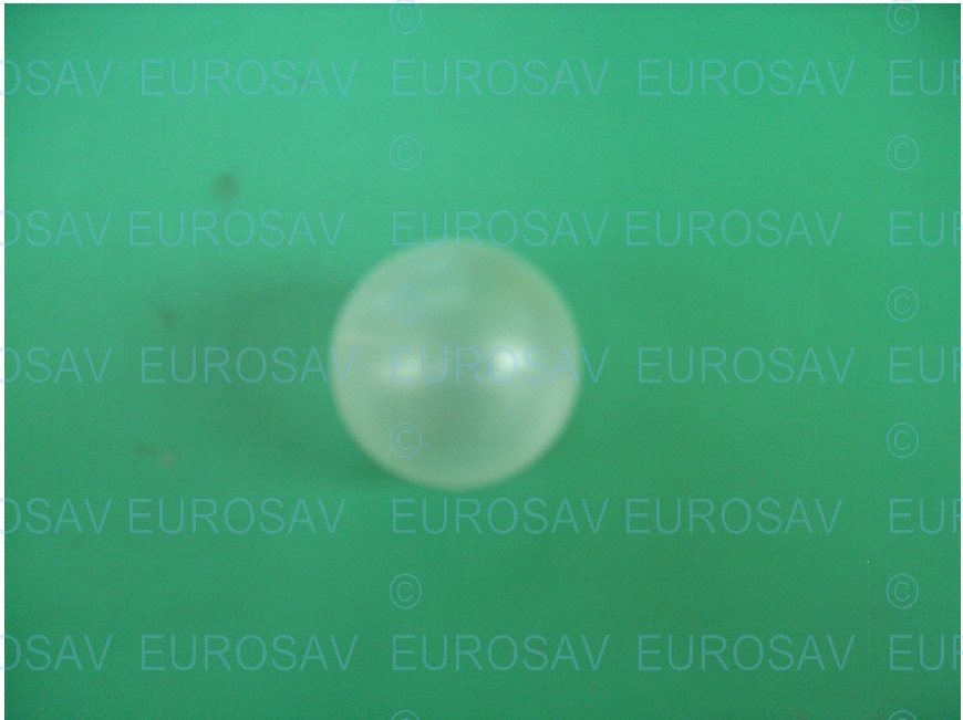 ECO BALL