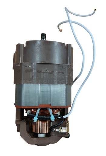 [LIT79604775] MOTEUR