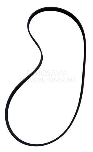 [HLL262279] COURROIE